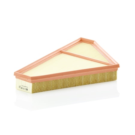 Mann-Filter Air Filter, C36008 C36008